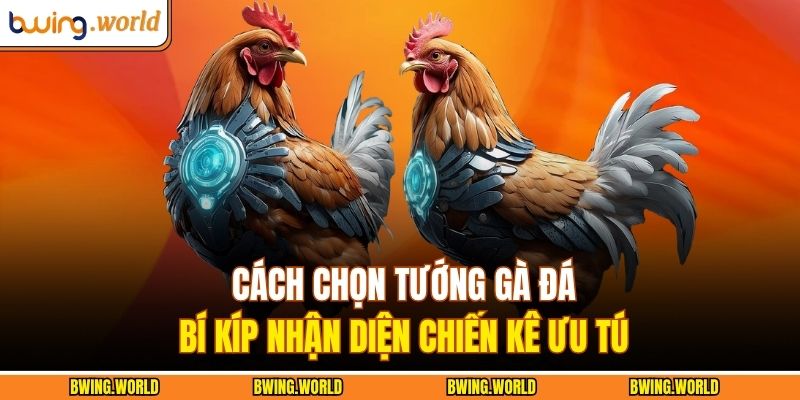 Cách chọn tướng gà đá