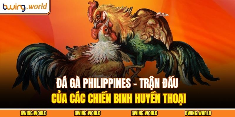 Đá gà Philippines