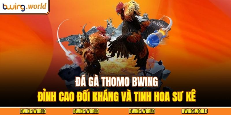 Đá gà Thomo BWING