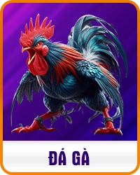 da ga