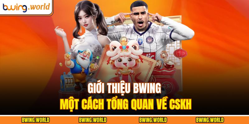 Giới thiệu BWING một cách tổng quan về CSKH