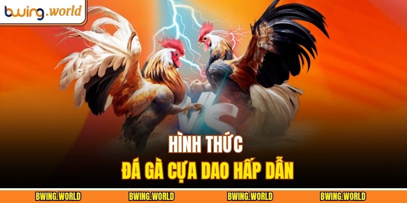 Hình thức đá gà cựa dao hấp dẫn