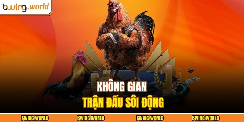 Đá gà cựa dao
