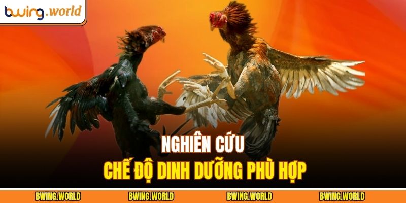 Nghiên cứu chế độ dinh dưỡng phù hợp