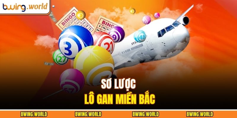 Sơ lược lô gan miền bắc