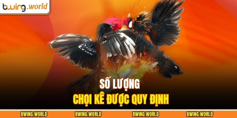 Số lượng chọi kê được quy định